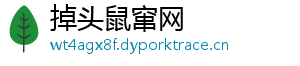掉头鼠窜网